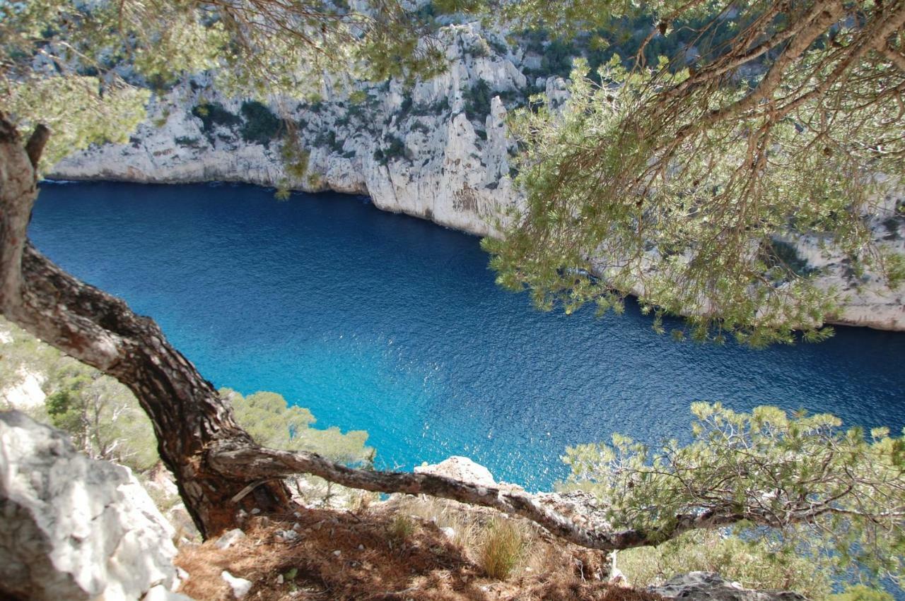 Azur Cassis 아파트 외부 사진
